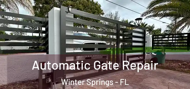 Automatic Gate Repair Winter Springs - FL