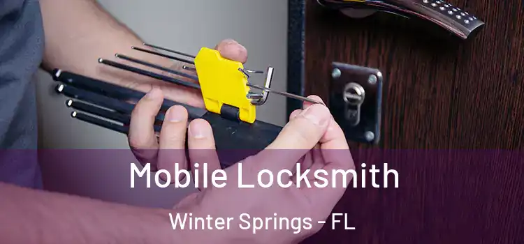 Mobile Locksmith Winter Springs - FL